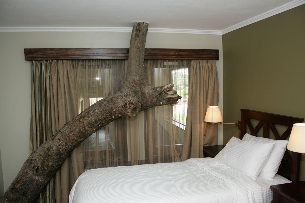 Treetops Mweiga Pokoj fotografie
