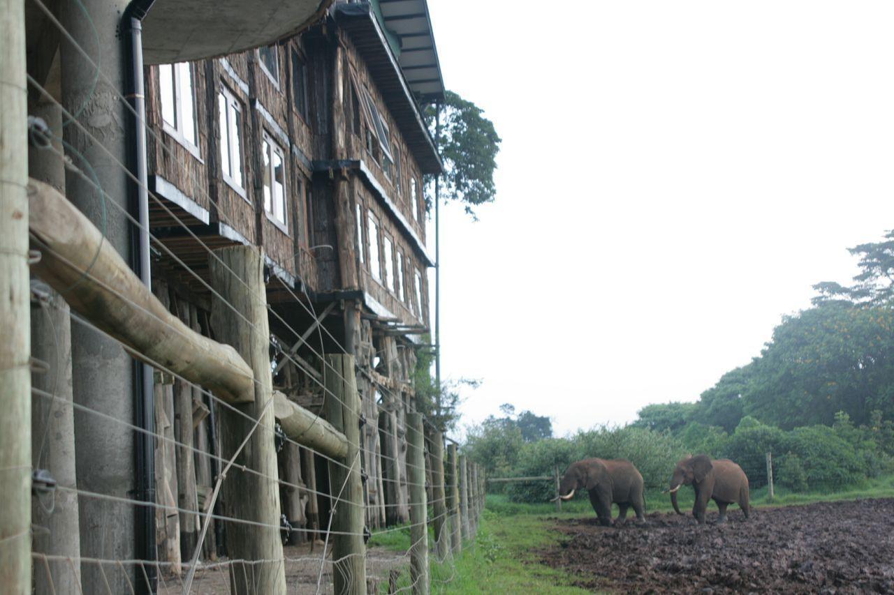 Treetops Mweiga Exteriér fotografie