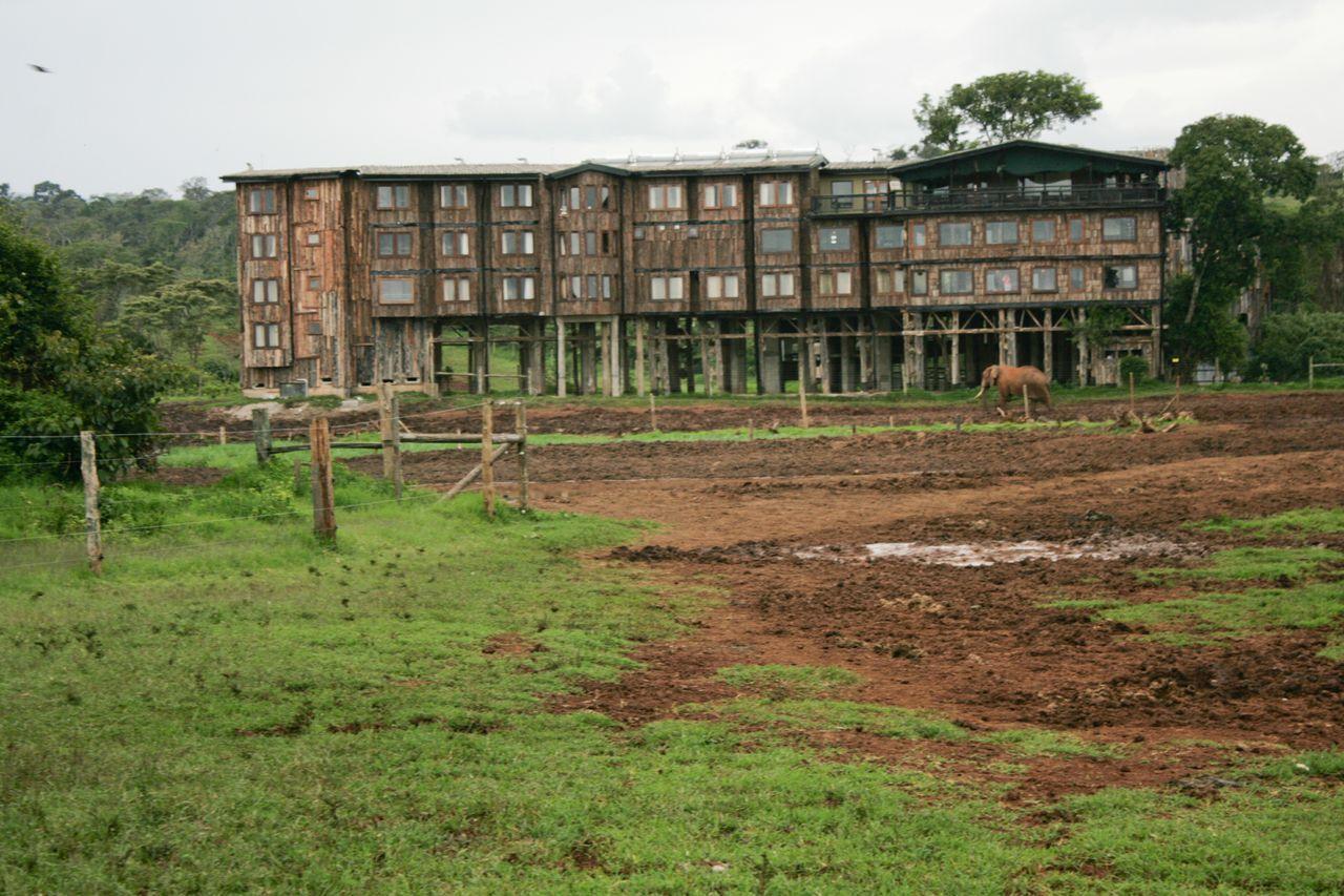 Treetops Mweiga Exteriér fotografie