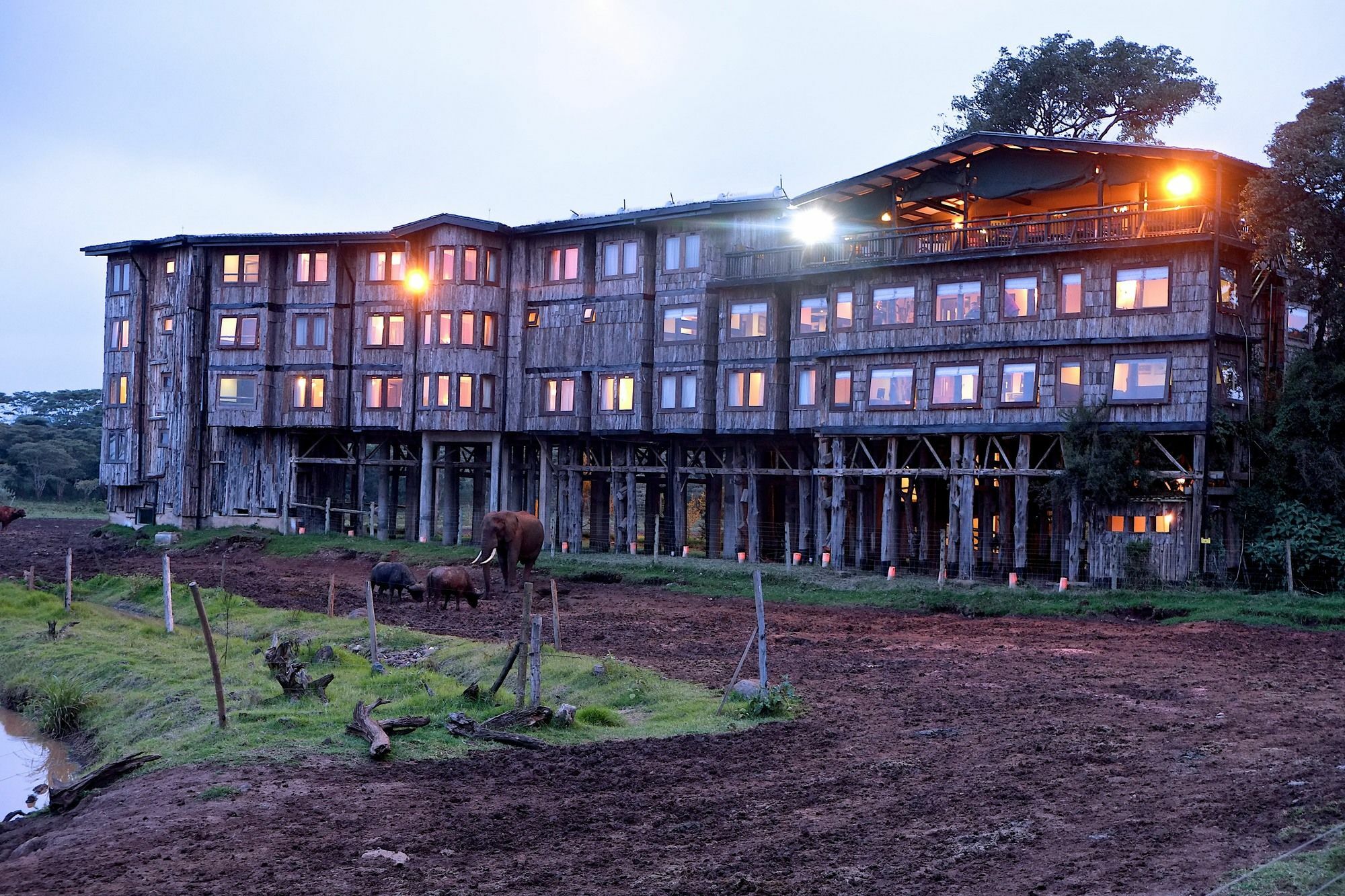 Treetops Mweiga Exteriér fotografie