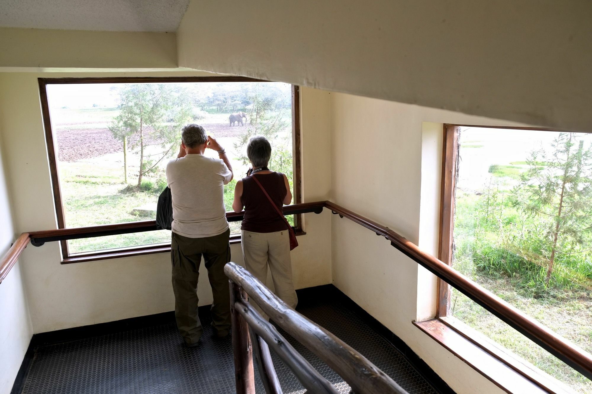 Treetops Mweiga Exteriér fotografie